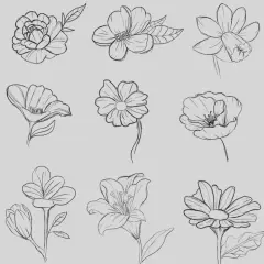 Blumen zeichnen mit Bleistift: Einfache Anleitung für Anfänger