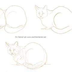 Katze zeichnen lernen: Einfache Schritt-für-Schritt-Anleitung