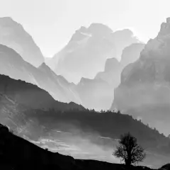 Dramatische Berglandschaft in schwarz weiß. Nebel schlängelt sich durch die Täler, während schneebedeckte Gipfel im Hintergrund aufragen. Ein einsamer Baum steht silhouettenhaft auf einem Hügel.