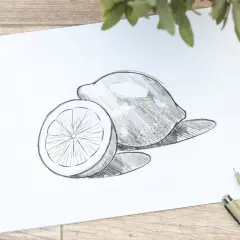 Bleistiftzeichnung von einer ganzen und einer halben Zitrone auf weißem Papier.