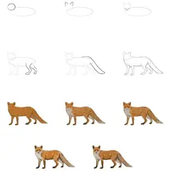Fuchs zeichnen lernen: Einfache Schritt-für-Schritt-Anleitung