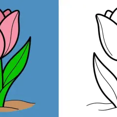 Zwei Tulpenzeichnungen: eine farbig rosa auf blauem Grund, eine schwarz-weiß zum Ausmalen.