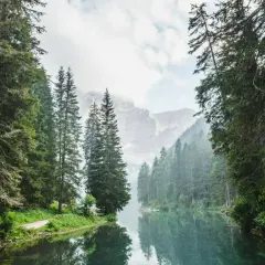 Ein ruhiger Bergsee spiegelt die majestätischen Bäume und Berge wider. Die Farbe Grün, die hier die Bedeutung von Natur, Ruhe und Erneuerung verkörpert, dominiert die Szene.
