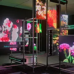 Installation mit leuchtenden Bildschirmen, die Blumen und Texte zeigen. Deutsche Künstler präsentieren einen "Zukünftigen Garten".