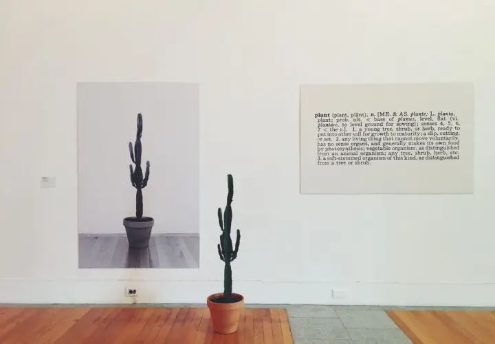 Konzeptkunst Beispiele: Ein Kaktus im Topf und seine Definition auf einer Leinwand.