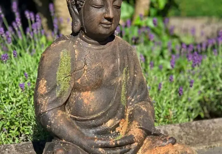 Gartenskulptur finden: Materialien, Stil & Platzierung | Ratgeber