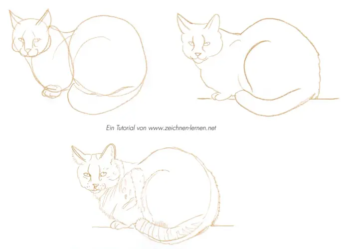 Katze zeichnen lernen: Einfache Schritt-für-Schritt-Anleitung