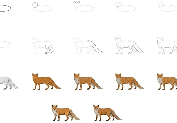 Fuchs zeichnen lernen: Einfache Schritt-für-Schritt-Anleitung