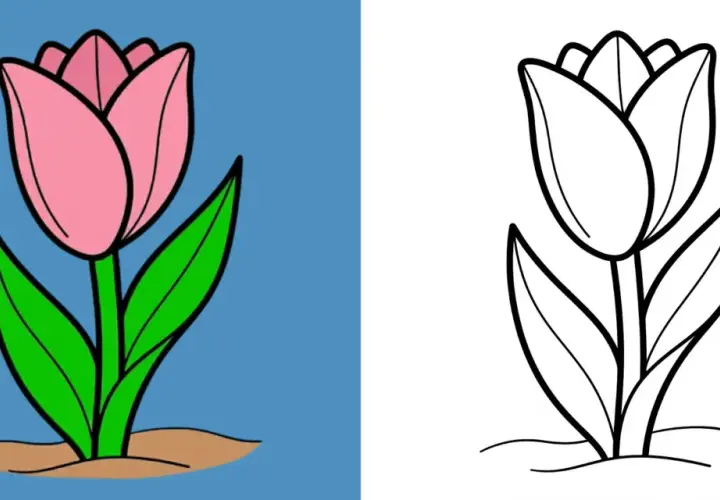 Zwei Tulpenzeichnungen: eine farbig rosa auf blauem Grund, eine schwarz-weiß zum Ausmalen.
