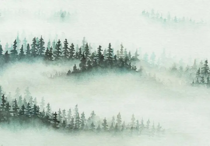 Aquarellmalerei eines nebligen Waldes mit dunklen Tannen und verschwommenen Hintergründen.