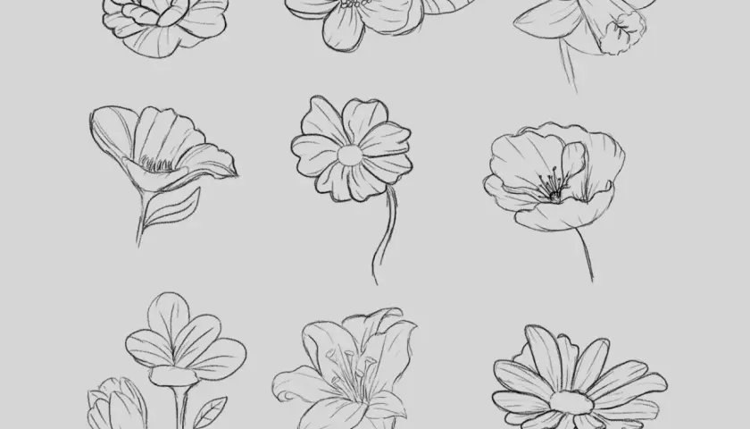 Blumen zeichnen mit Bleistift: Einfache Anleitung für Anfänger