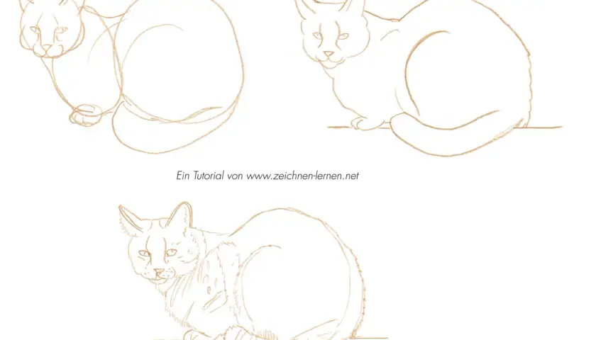 Katze zeichnen lernen: Einfache Schritt-für-Schritt-Anleitung
