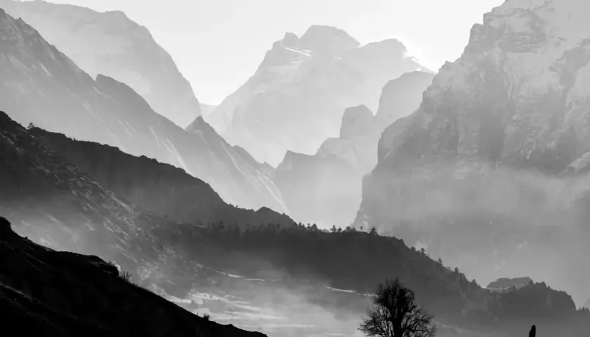 Dramatische Berglandschaft in schwarz weiß. Nebel schlängelt sich durch die Täler, während schneebedeckte Gipfel im Hintergrund aufragen. Ein einsamer Baum steht silhouettenhaft auf einem Hügel.