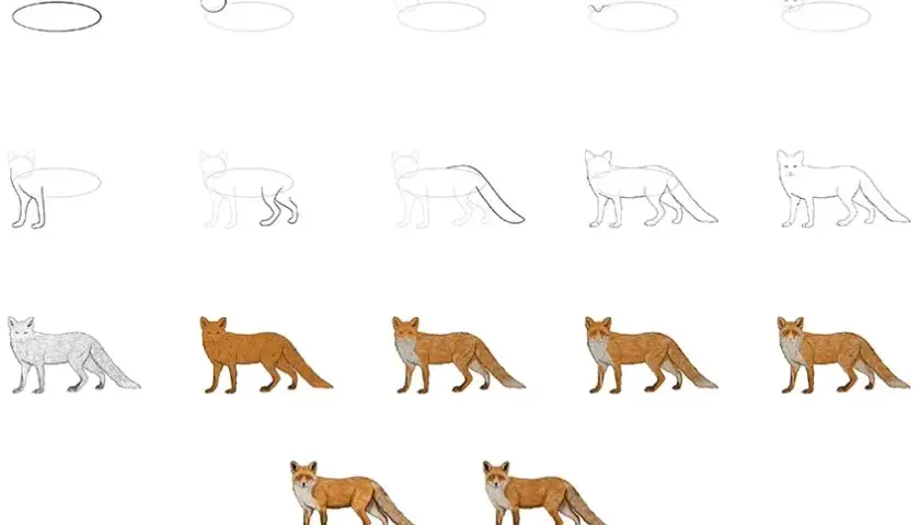 Fuchs zeichnen lernen: Einfache Schritt-für-Schritt-Anleitung