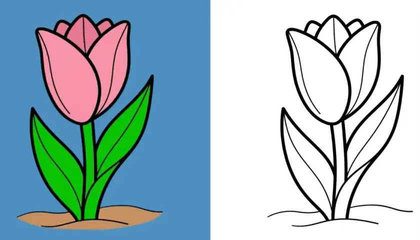 Zwei Tulpenzeichnungen: eine farbig rosa auf blauem Grund, eine schwarz-weiß zum Ausmalen.