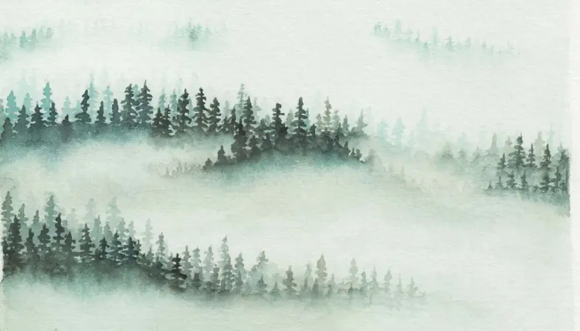 Aquarellmalerei eines nebligen Waldes mit dunklen Tannen und verschwommenen Hintergründen.