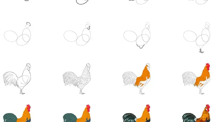 Huhn zeichnen lernen: Einfache Schritt-für-Schritt-Anleitung