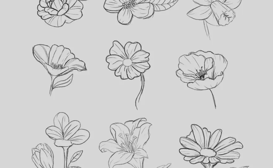 Blumen zeichnen mit Bleistift: Einfache Anleitung für Anfänger