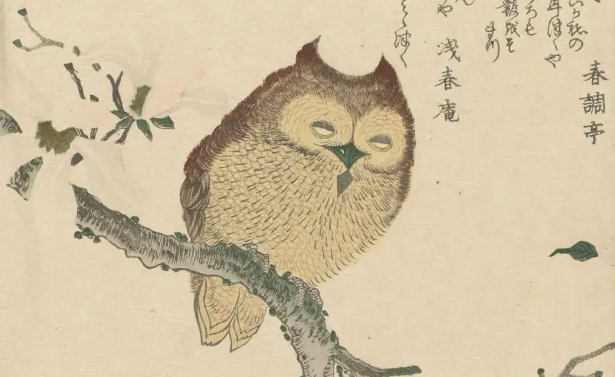 Animierte GIFs erstellen - Dein Guide für digitale Kunst