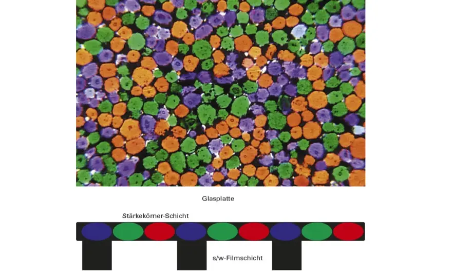 Primärfarben verstehen – Licht, Pigment, Druck meistern
