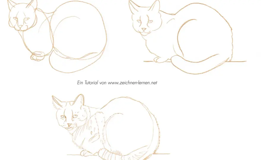 Katze zeichnen lernen: Einfache Schritt-für-Schritt-Anleitung