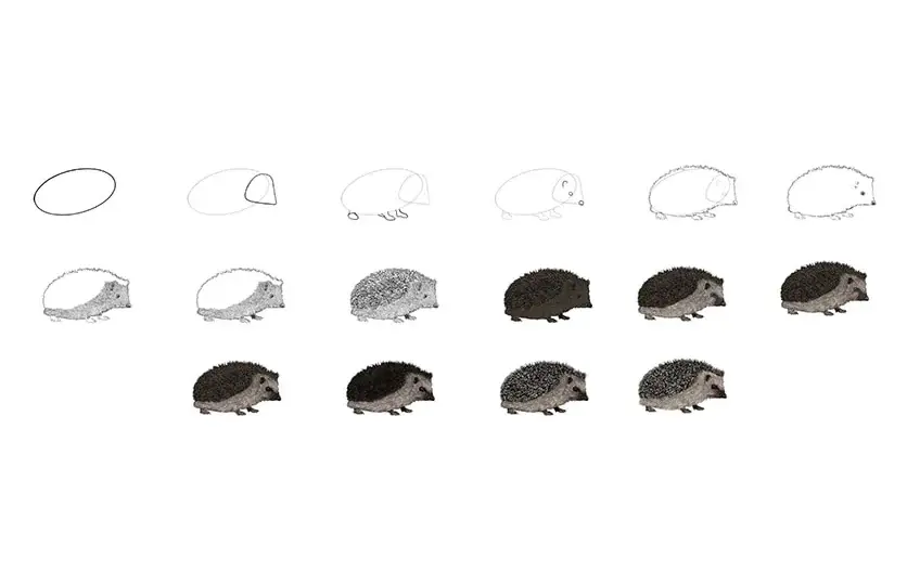 Igel zeichnen: Einfache Schritt-für-Schritt-Anleitung für Anfänger