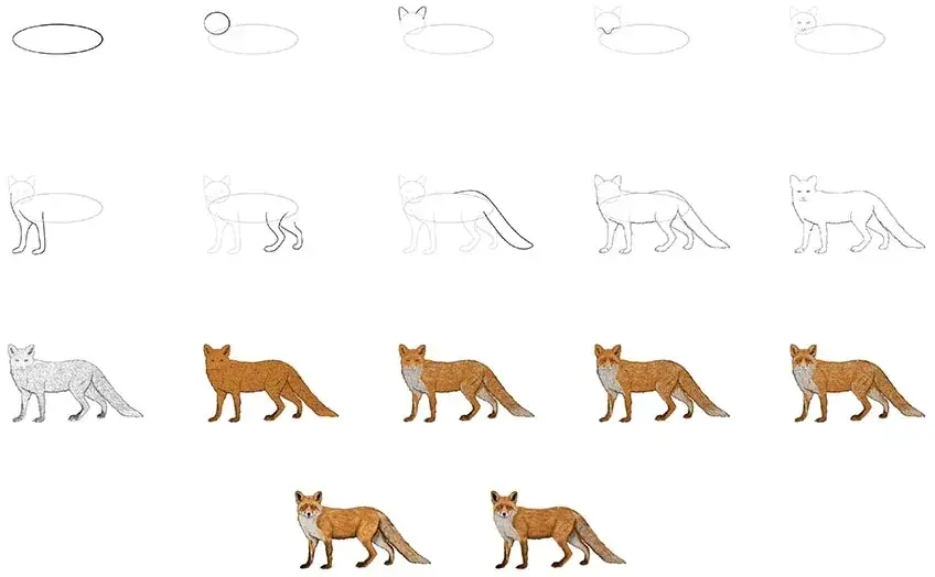 Fuchs zeichnen lernen: Einfache Schritt-für-Schritt-Anleitung