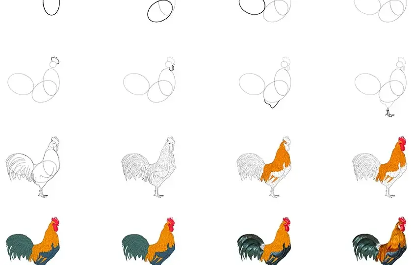 Huhn zeichnen lernen: Einfache Schritt-für-Schritt-Anleitung