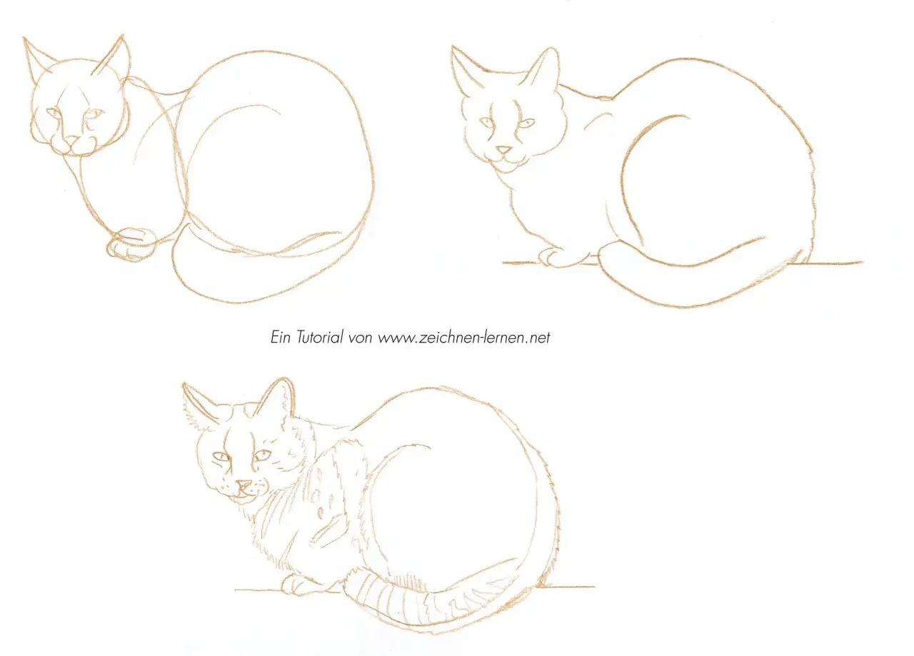 Katze zeichnen lernen: Einfache Schritt-für-Schritt-Anleitung