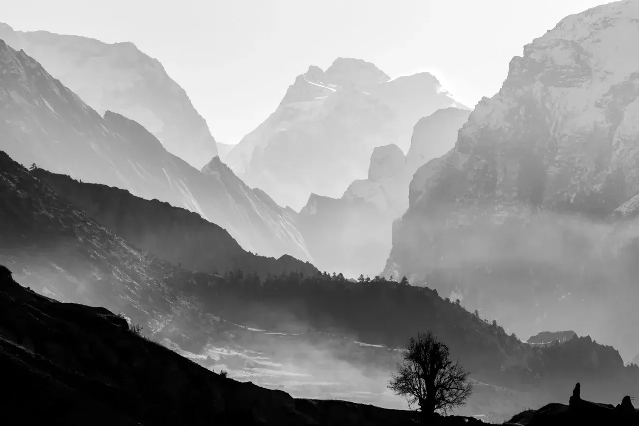 Dramatische Berglandschaft in schwarz weiß. Nebel schlängelt sich durch die Täler, während schneebedeckte Gipfel im Hintergrund aufragen. Ein einsamer Baum steht silhouettenhaft auf einem Hügel.
