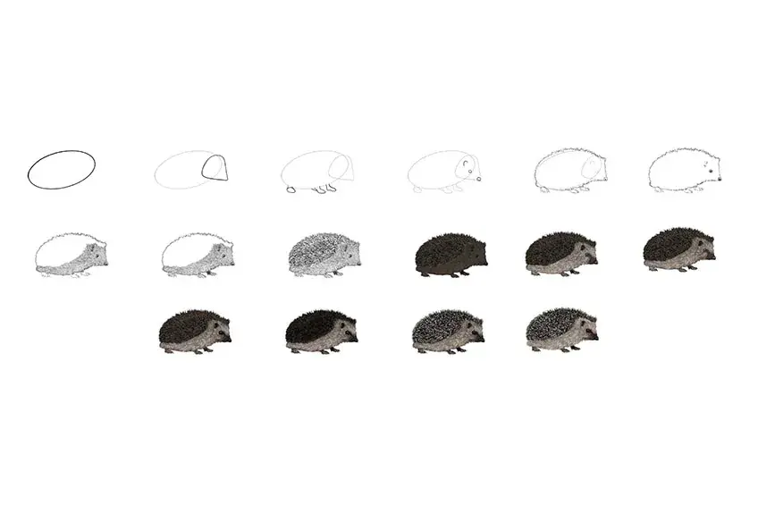 Igel zeichnen: Einfache Schritt-für-Schritt-Anleitung für Anfänger