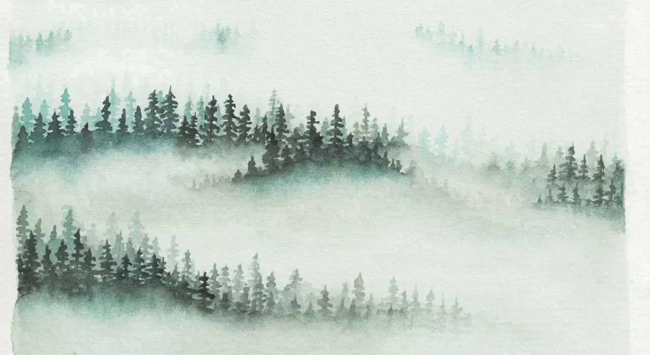 Aquarellmalerei eines nebligen Waldes mit dunklen Tannen und verschwommenen Hintergründen.