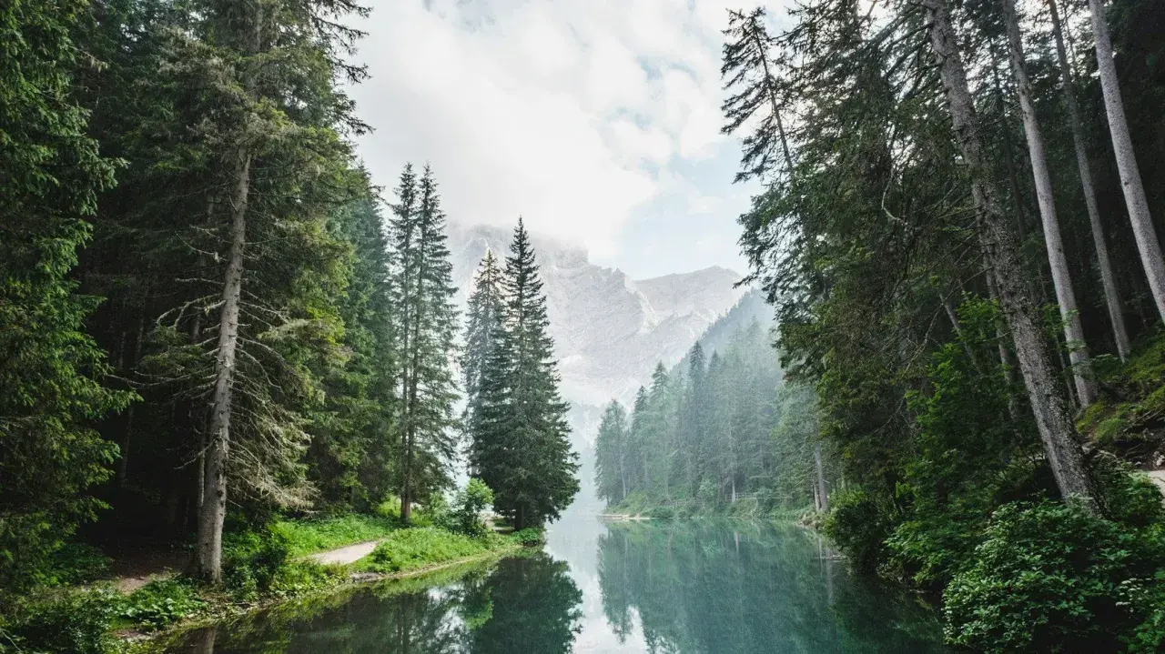Ein ruhiger Bergsee spiegelt die majestätischen Bäume und Berge wider. Die Farbe Grün, die hier die Bedeutung von Natur, Ruhe und Erneuerung verkörpert, dominiert die Szene.