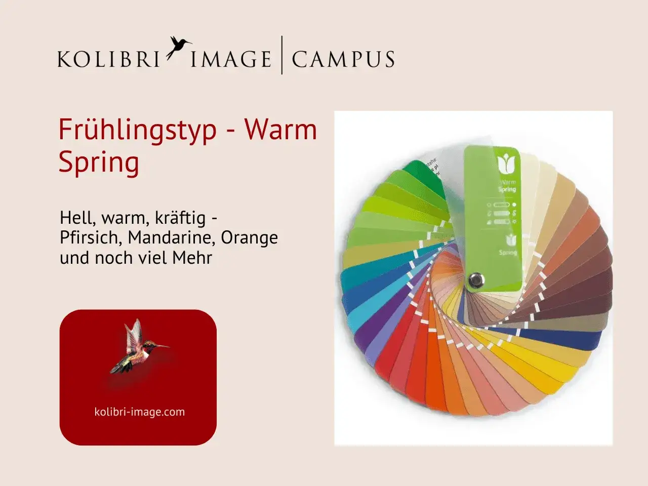 Farbpalette mit vielen hellen, warmen Frühlingsfarben wie Pfirsich und Orange. Ein Kolibri-Logo und der Text 