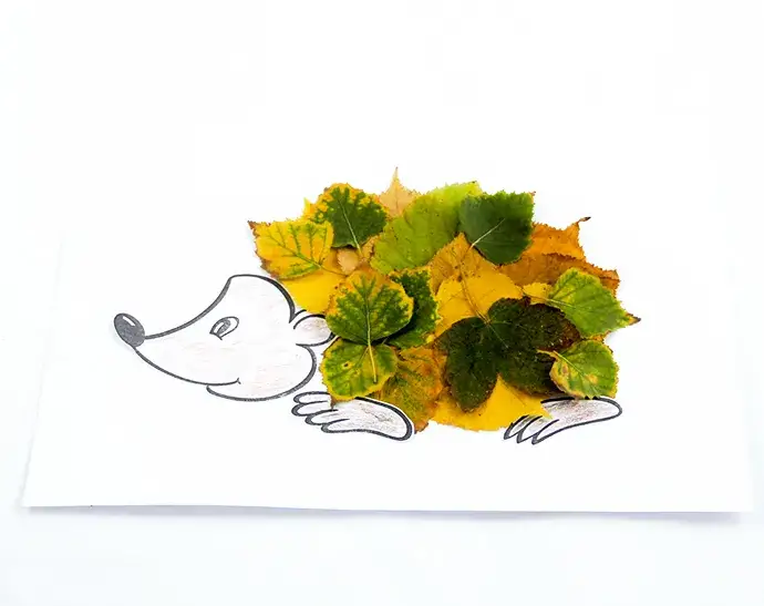 Igel mit Herbstblättern zeichnen einfach