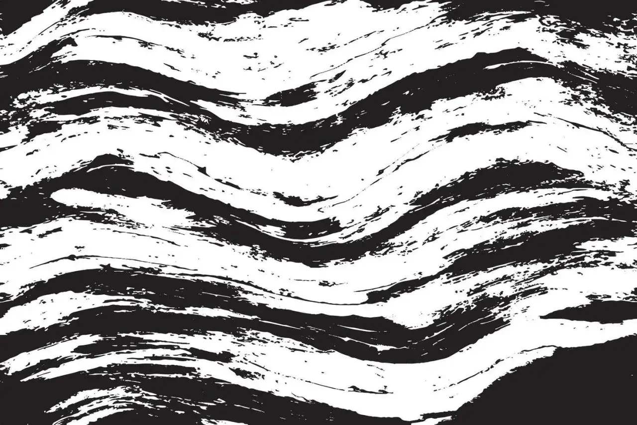Abstrakte, geschwungene Linien in schwarz weiß, die an die Muster eines Zebras erinnern.