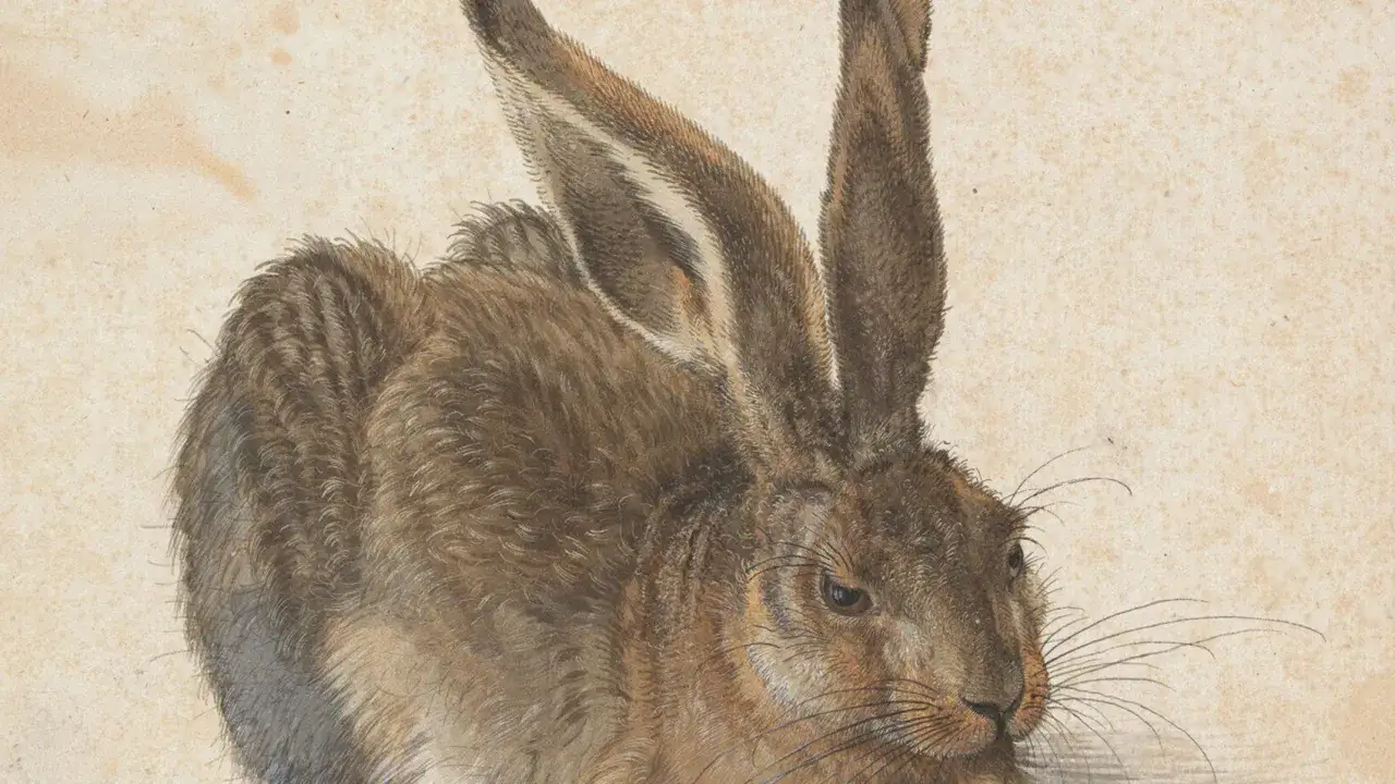 Detailaufnahme eines naturgetreuen Dürer Hasen mit langen Ohren und feinem Fell auf hellem Untergrund.