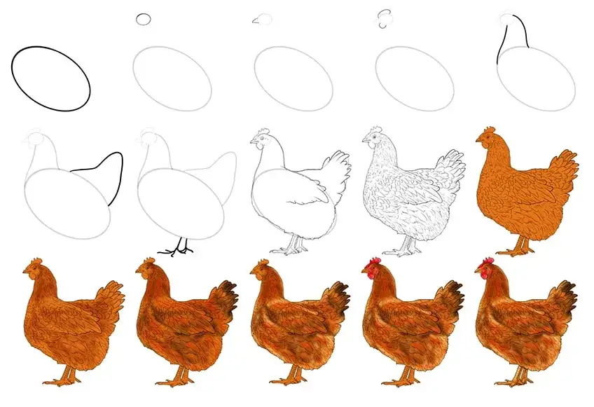 Huhn zeichnen Schritt für Schritt Anleitung Skizze