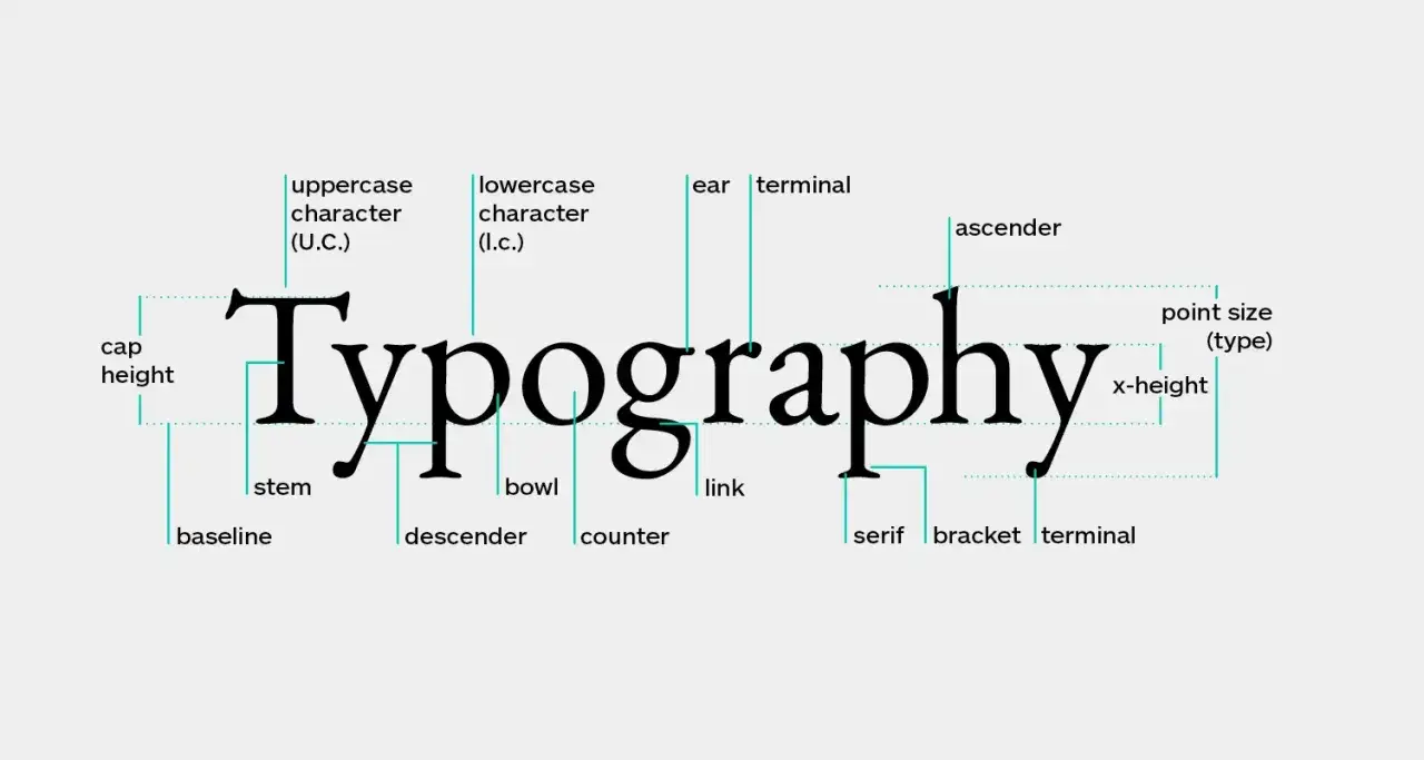 Typografie-Elemente erklärt: Ein Schritt auf dem Weg, wie man Grafikdesign lernt.